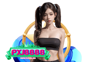 pxj8888 ทางเข้า